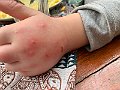 IMG_3716