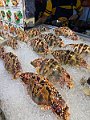 IMG_3775