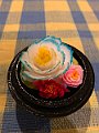 IMG_3806