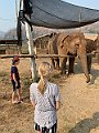 IMG_4119