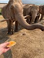 IMG_4169