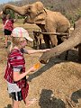 IMG_4178