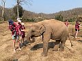 IMG_4206