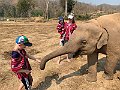 IMG_4210