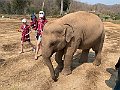 IMG_4212