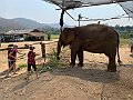 IMG_4259
