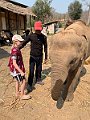 IMG_4268