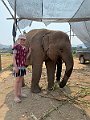 IMG_4285