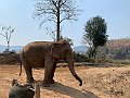 IMG_4293