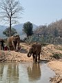 IMG_4297