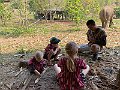 IMG_4341