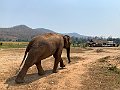 IMG_4379