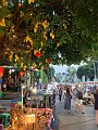 IMG_4409