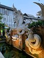 IMG_4410