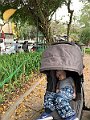 IMG_4884