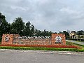 IMG_5309