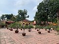 IMG_5319