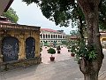 IMG_5331