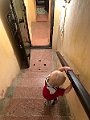 IMG_5334