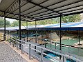 IMG_5353