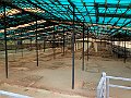 IMG_5354
