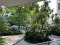 IMG_0656