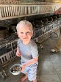 IMG_0906