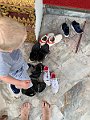 IMG_0934