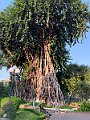 IMG_1374