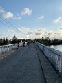 IMG_6239