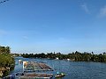 IMG_6245