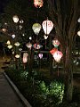 IMG_6255