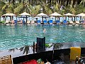 IMG_7701