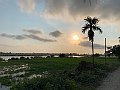 IMG_7923