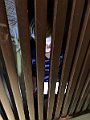 IMG_8189