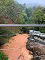 IMG_8397