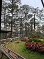 IMG_8458