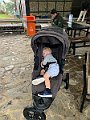 IMG_8461