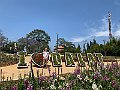 IMG_8508