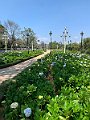 IMG_8511
