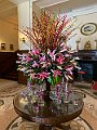 IMG_8632