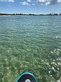 IMG_5712 (2)
