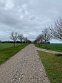 IMG_4909 (2)