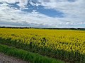 IMG_4912