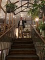 IMG_6320 (2)