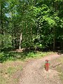 IMG_6369 (2)