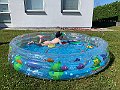 IMG_6933