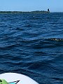 IMG_6901