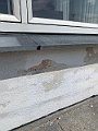 IMG_6433