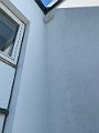 IMG_6984